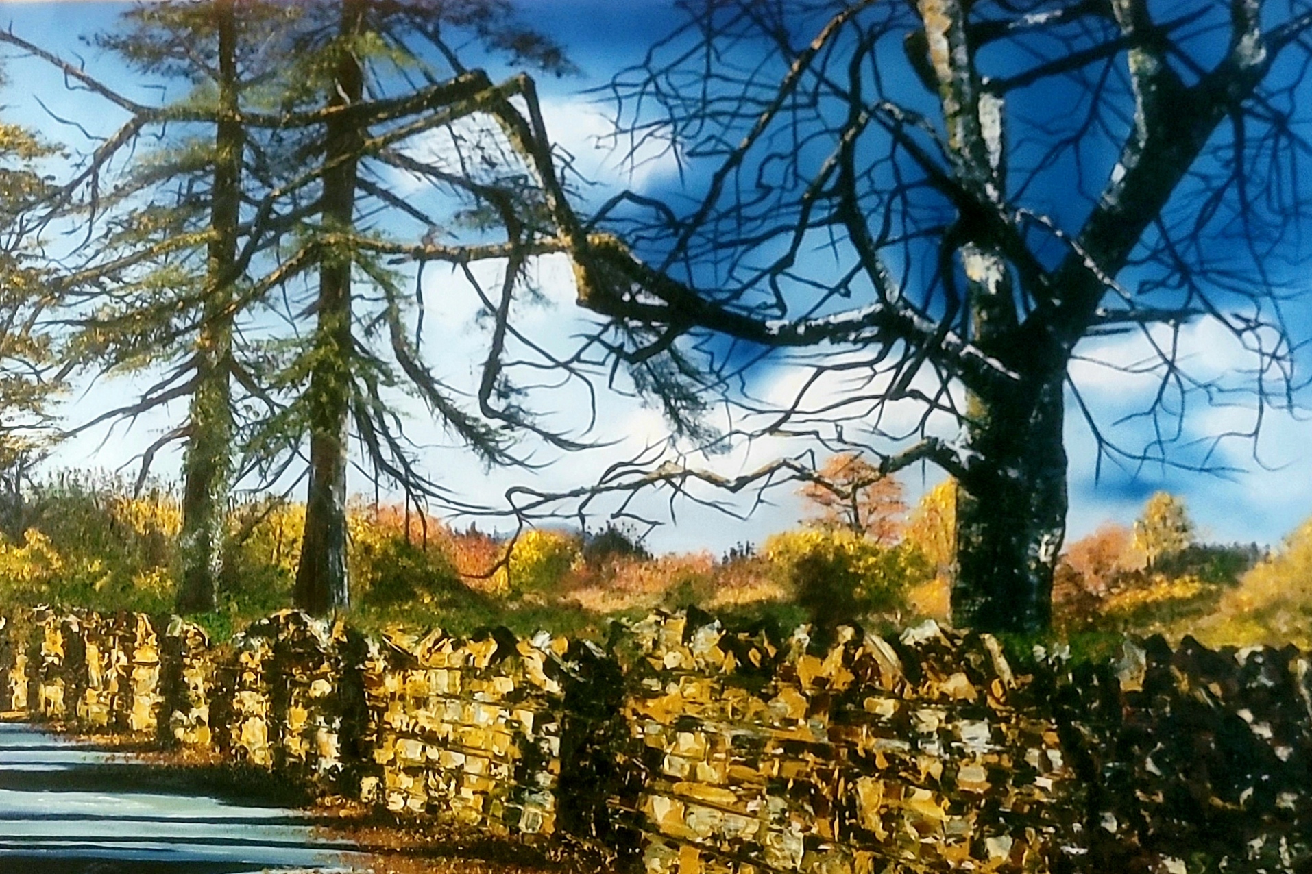 1688653963164-69def0f6-aa0f-483e-b35d-5f6c25253e29_